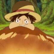 ヒメ日記 2024/12/16 07:31 投稿 しのぶ 千葉人妻花壇