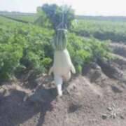 ヒメ日記 2025/01/22 17:16 投稿 しのぶ 千葉人妻花壇