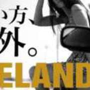 ヒメ日記 2025/01/26 16:16 投稿 しのぶ 千葉人妻花壇