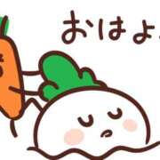 ヒメ日記 2025/01/27 06:05 投稿 しのぶ 千葉人妻花壇