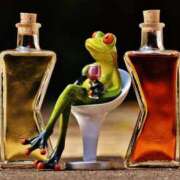 ヒメ日記 2025/11/05 09:06 投稿 しのぶ 千葉人妻花壇