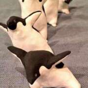 ヒメ日記 2025/12/12 11:32 投稿 しのぶ 千葉人妻花壇