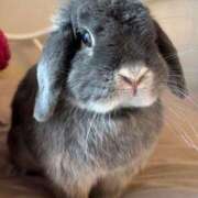 ヒメ日記 2024/12/08 14:50 投稿 ゆうり クラブハウスシェル