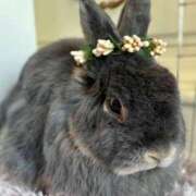 ヒメ日記 2024/12/09 19:13 投稿 ゆうり クラブハウスシェル