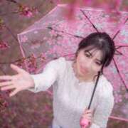 ヒメ日記 2025/04/05 10:09 投稿 ゆうり クラブハウスシェル