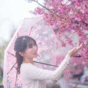 ヒメ日記 2025/04/13 10:16 投稿 ゆうり クラブハウスシェル