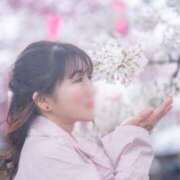 ヒメ日記 2025/04/28 10:27 投稿 ゆうり クラブハウスシェル