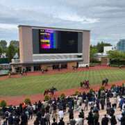 ヒメ日記 2025/05/11 21:04 投稿 ゆうり クラブハウスシェル