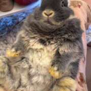 ヒメ日記 2025/05/13 14:54 投稿 ゆうり クラブハウスシェル