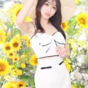 ヒメ日記 2025/06/07 09:43 投稿 ゆうり クラブハウスシェル