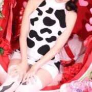 ヒメ日記 2026/02/12 08:56 投稿 ゆうり クラブハウスシェル