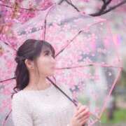 ヒメ日記 2026/02/18 09:06 投稿 ゆうり クラブハウスシェル