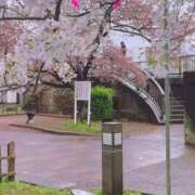 ヒメ日記 2026/03/20 15:16 投稿 ゆうり クラブハウスシェル