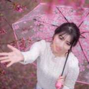 ヒメ日記 2026/03/26 08:46 投稿 ゆうり クラブハウスシェル