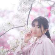 ヒメ日記 2026/04/01 09:26 投稿 ゆうり クラブハウスシェル