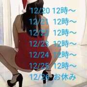 ヒメ日記 2024/12/19 17:32 投稿 若林美加子 プレジデントハウス