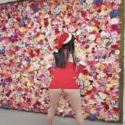 ヒメ日記 2024/12/24 11:26 投稿 若林美加子 プレジデントハウス