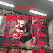 ヒメ日記 2024/12/26 13:45 投稿 若林美加子 プレジデントハウス