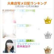 ヒメ日記 2025/01/08 11:13 投稿 若林美加子 プレジデントハウス