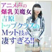 ヒメ日記 2025/01/30 21:00 投稿 若林美加子 プレジデントハウス