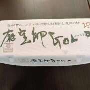 ヒメ日記 2025/02/11 12:40 投稿 若林美加子 プレジデントハウス