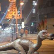 ヒメ日記 2025/04/23 00:31 投稿 若林美加子 プレジデントハウス