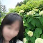 ヒメ日記 2025/05/29 11:32 投稿 若林美加子 プレジデントハウス