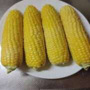 ヒメ日記 2025/06/05 16:30 投稿 若林美加子 プレジデントハウス