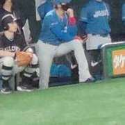 ヒメ日記 2025/06/20 13:31 投稿 若林美加子 プレジデントハウス