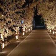 ヒメ日記 2025/07/01 23:47 投稿 若林美加子 プレジデントハウス