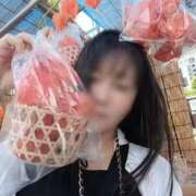 ヒメ日記 2025/07/10 11:38 投稿 若林美加子 プレジデントハウス