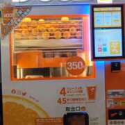 ヒメ日記 2025/10/09 21:21 投稿 若林美加子 プレジデントハウス