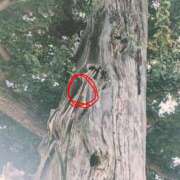 ヒメ日記 2025/10/17 11:22 投稿 若林美加子 プレジデントハウス