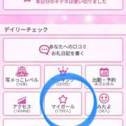 ヒメ日記 2025/10/30 16:30 投稿 若林美加子 プレジデントハウス