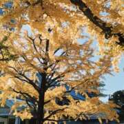 ヒメ日記 2025/11/22 12:32 投稿 若林美加子 プレジデントハウス