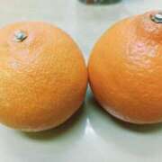 ヒメ日記 2025/12/05 19:15 投稿 若林美加子 プレジデントハウス