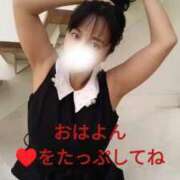 ヒメ日記 2026/03/19 09:21 投稿 若林美加子 プレジデントハウス