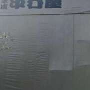 ヒメ日記 2026/10/17 13:23 投稿 若林美加子 プレジデントハウス