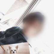 ヒメ日記 2025/03/14 12:26 投稿 西花 よう AZITO V.I.P