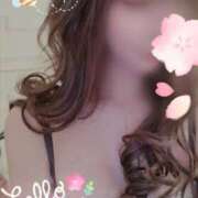 ヒメ日記 2025/03/29 12:19 投稿 西花 よう AZITO V.I.P