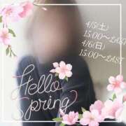 ヒメ日記 2025/04/02 11:45 投稿 西花 よう AZITO V.I.P