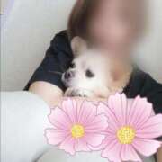 ヒメ日記 2025/07/12 13:02 投稿 西花 よう AZITO V.I.P