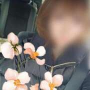 ヒメ日記 2026/01/24 13:17 投稿 西花 よう AZITO V.I.P