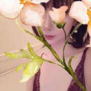 ヒメ日記 2026/01/29 21:34 投稿 西花 よう AZITO V.I.P