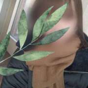 ヒメ日記 2026/02/01 13:01 投稿 西花 よう AZITO V.I.P