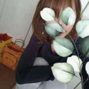 西花 よう 今日の🍱🥢 AZITO V.I.P