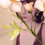 ヒメ日記 2026/03/13 12:47 投稿 西花 よう AZITO V.I.P