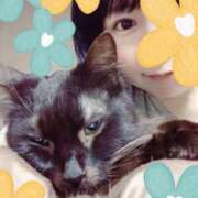 ヒメ日記 2025/04/29 01:35 投稿 猫村 艶妻