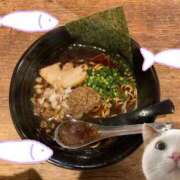 ヒメ日記 2025/05/01 03:31 投稿 猫村 艶妻