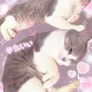 ヒメ日記 2025/05/10 00:55 投稿 猫村 艶妻